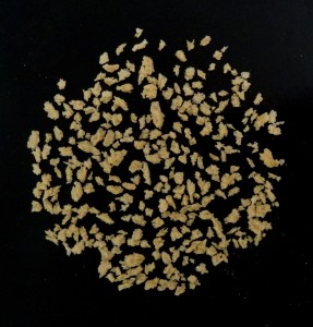 Whole Wheat Panko (02025)