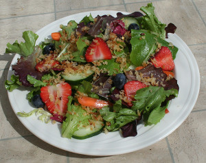 vegan panko salad